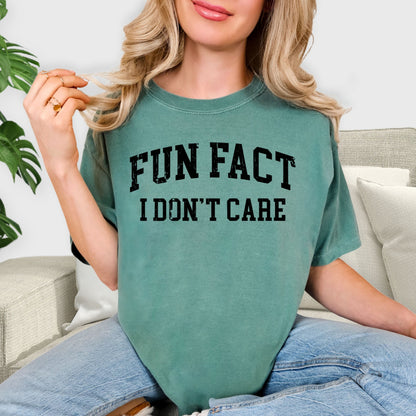 Fun Fact I Don't Care Shirt - Sarcastic Quote T-Shirt, Funny Minimalist Statement Tee, Brutally Honest Humor Sweatshirt, Antisocial Gift Apparel