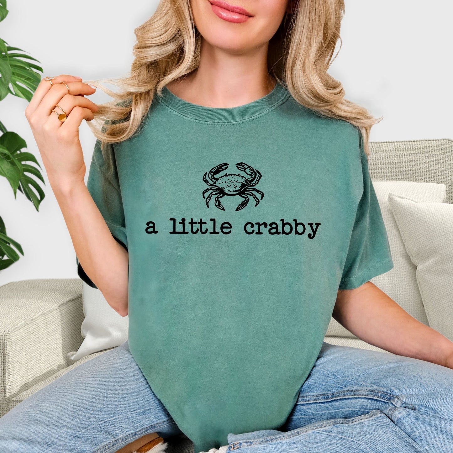 A Little Crabby T-Shirt - Funny Crab Graphic Tee, Minimalist Coastal Humor Shirt, Cute Crustacean Apparel, Beach Vacation Sarcastic Tee