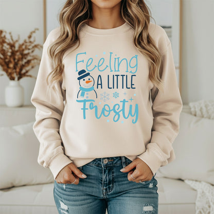 Winter Aesthetic Mood Sweatshirt – Soft Cozy Design