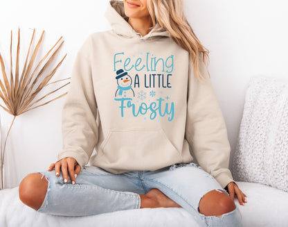 Winter Aesthetic Mood Hoodie – Soft Cozy Design