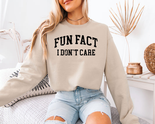 Fun Fact I Don’t Care Sweatshirt, Sarcastic Quote Crewneck, Minimal Bold Text Unisex Pullover
