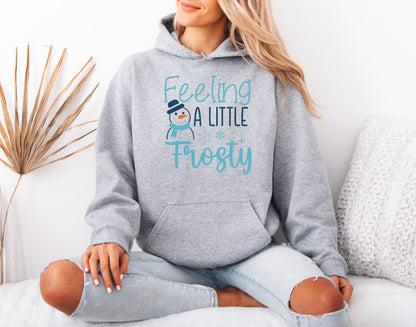 Winter Aesthetic Mood Hoodie – Soft Cozy Design
